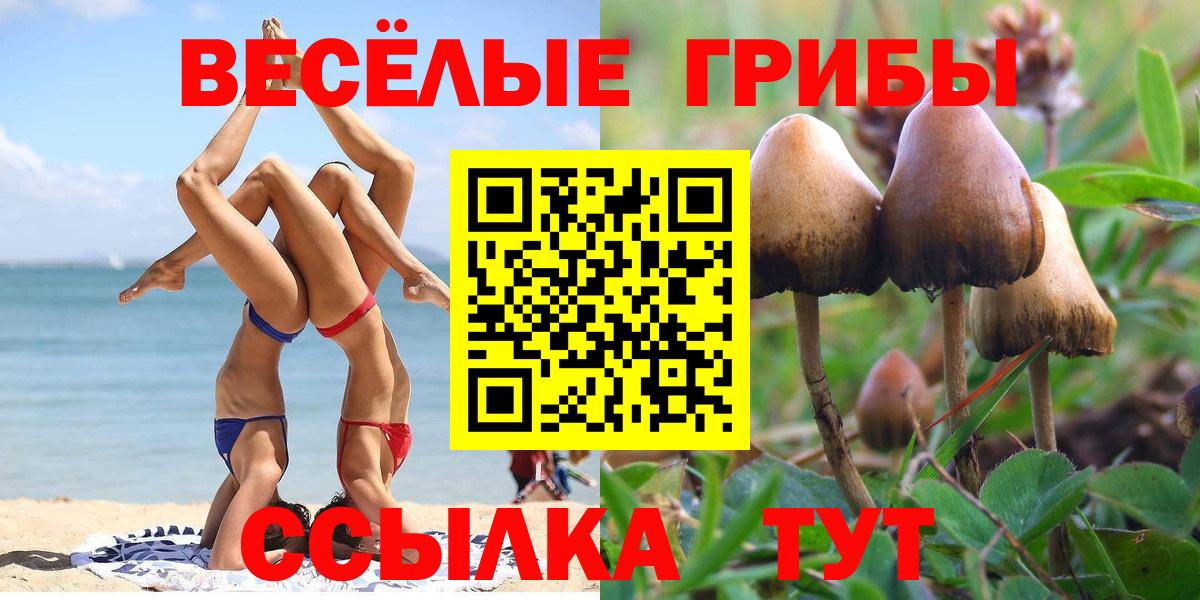 Галлюциногенные грибы Cubensis  Псилоцибиновые грибы Magic Shrooms  Тихорецк  Вход с VPN 