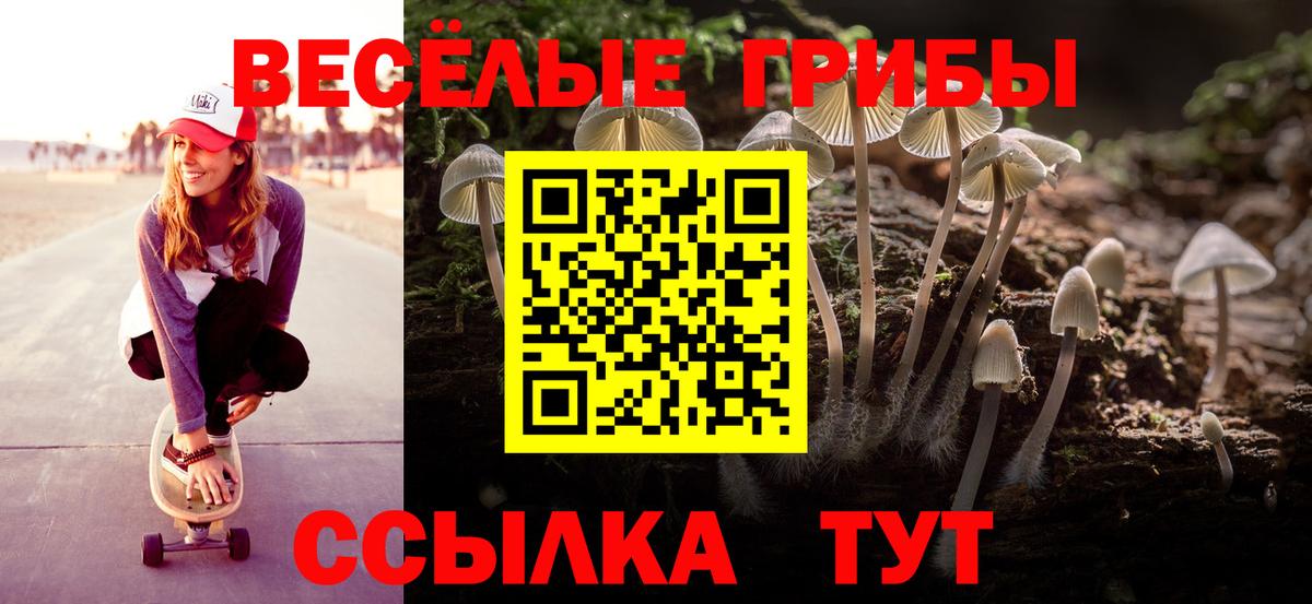 Галлюциногенные грибы Magic Shrooms Тихорецк