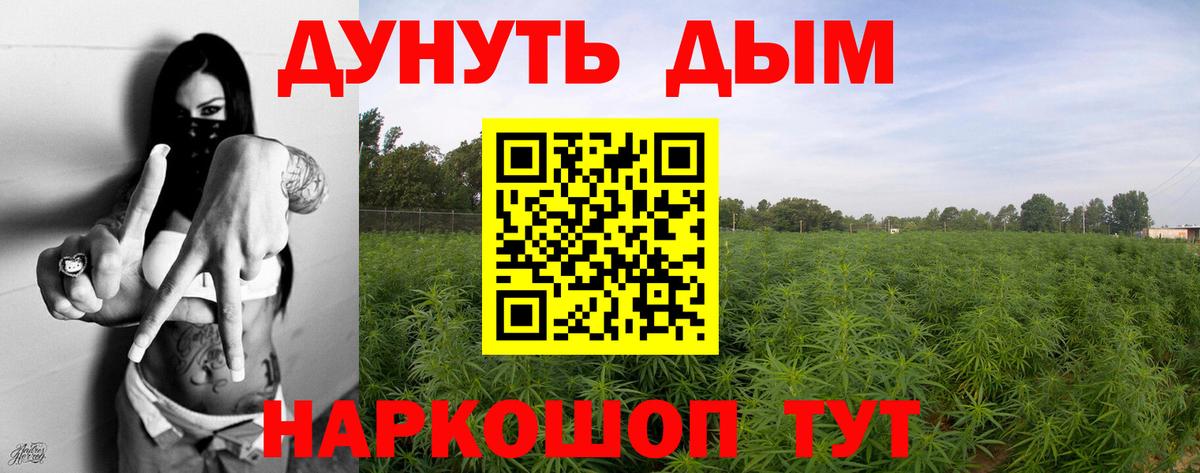 Тихорецк  Марихуана ГИДРОПОН  Вход с VPN  Шишки марихуана планчик  Каннабис Amnesia 