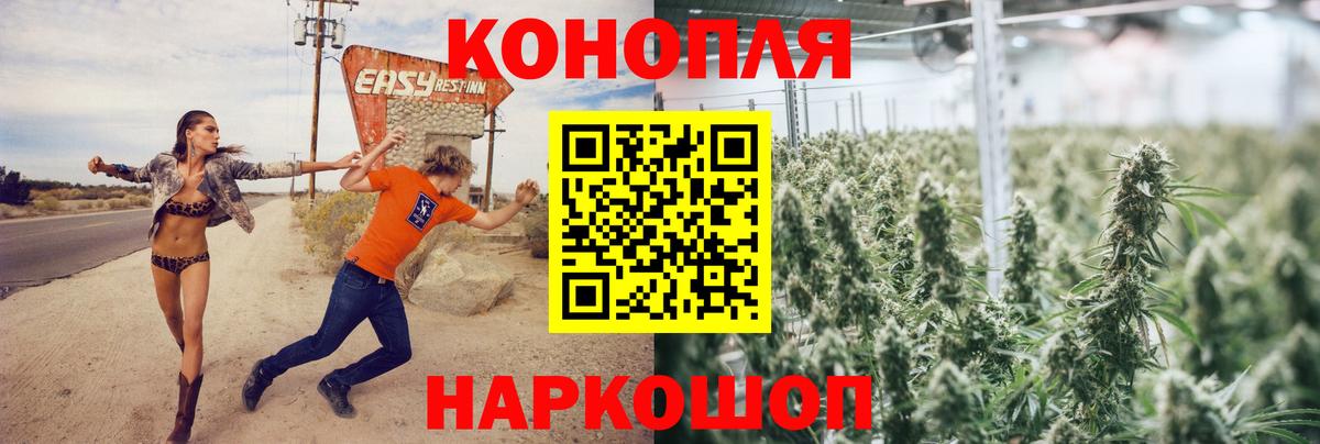 Конопля OG Kush Тихорецк